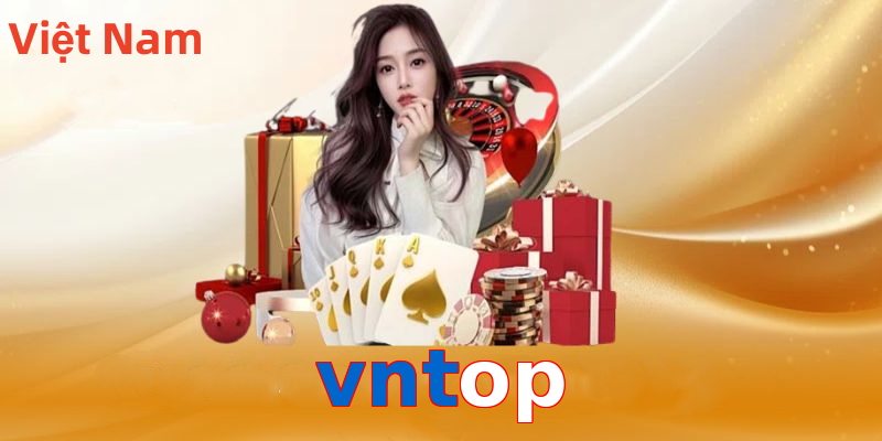 vntop